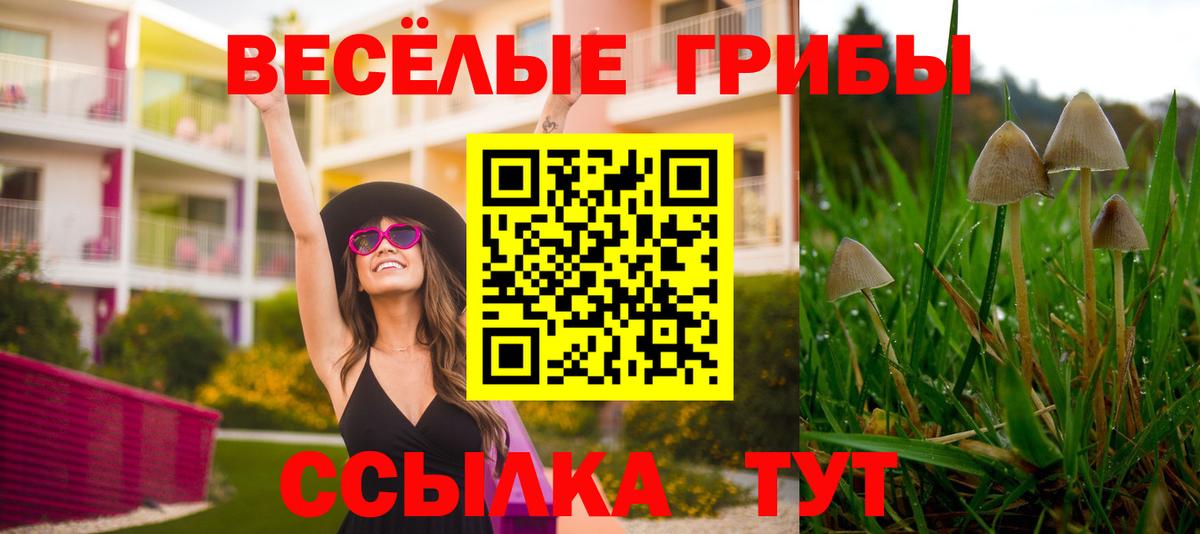 Псилоцибиновые грибы прущие грибы Липецк